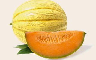 Il melone fa ingrassare?